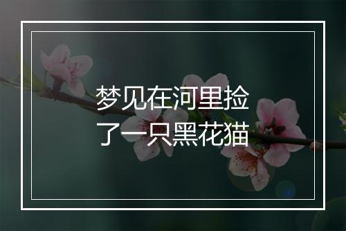 梦见在河里捡了一只黑花猫