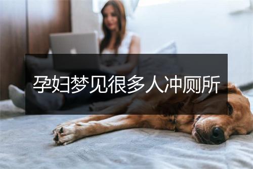 孕妇梦见很多人冲厕所