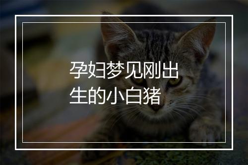 孕妇梦见刚出生的小白猪