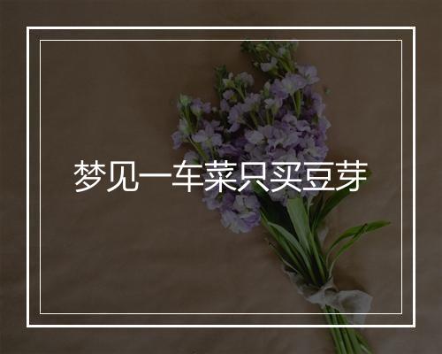 梦见一车菜只买豆芽