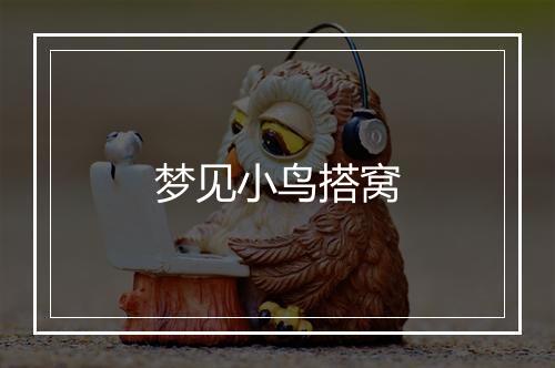 梦见小鸟搭窝