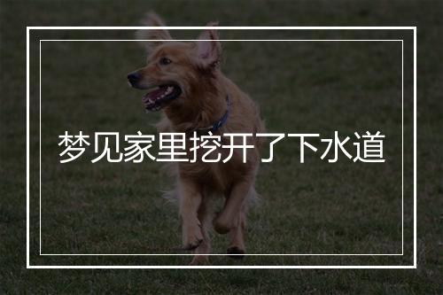 梦见家里挖开了下水道