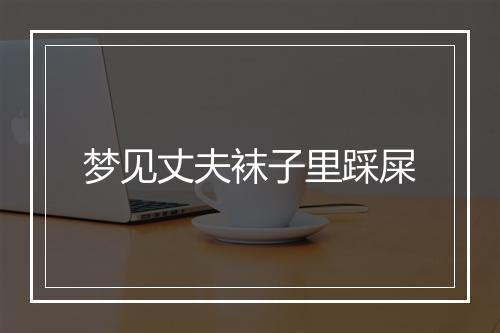 梦见丈夫袜子里踩屎