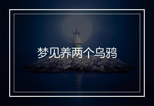 梦见养两个乌鸦