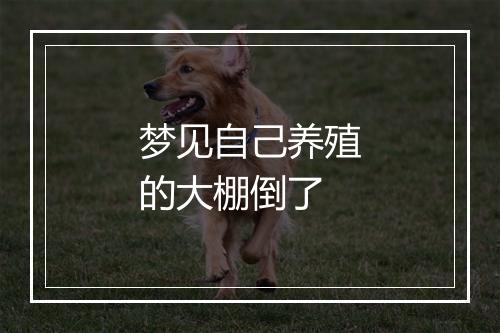 梦见自己养殖的大棚倒了