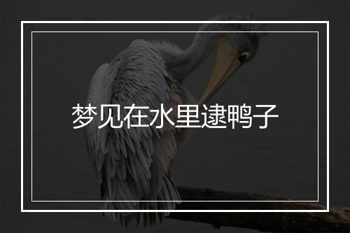 梦见在水里逮鸭子