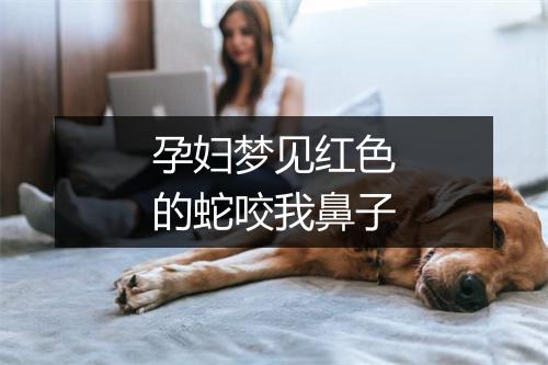 孕妇梦见红色的蛇咬我鼻子