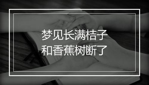 梦见长满桔子和香蕉树断了