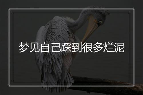 梦见自己踩到很多烂泥