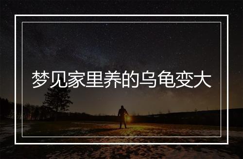 梦见家里养的乌龟变大