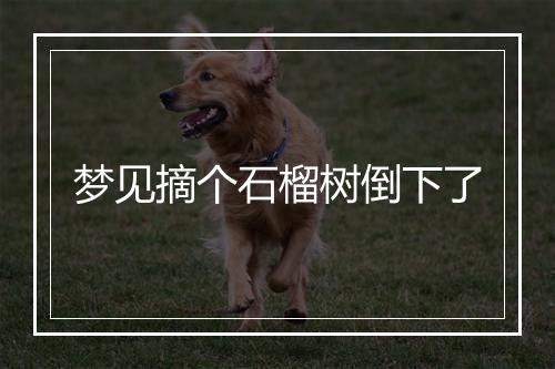 梦见摘个石榴树倒下了