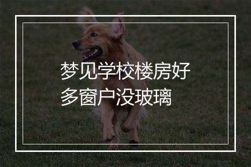 梦见学校楼房好多窗户没玻璃