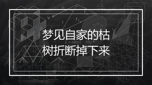 梦见自家的枯树折断掉下来