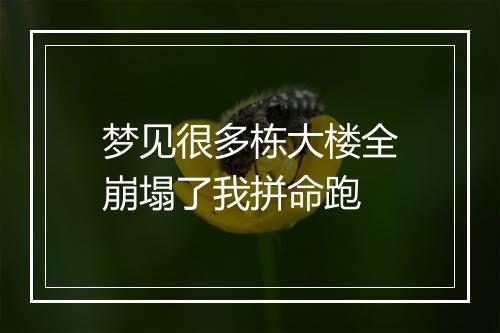 梦见很多栋大楼全崩塌了我拼命跑