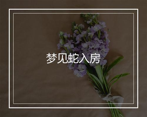 梦见蛇入房