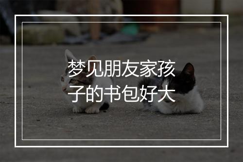 梦见朋友家孩子的书包好大