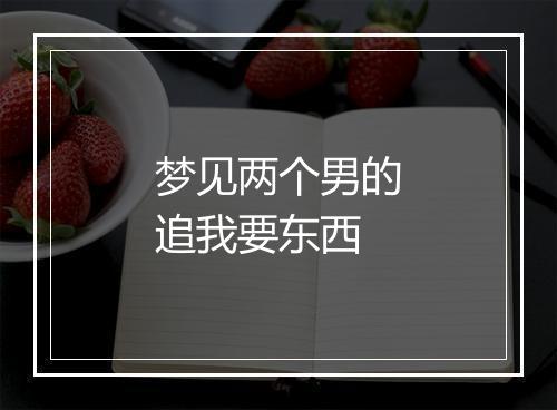 梦见两个男的追我要东西