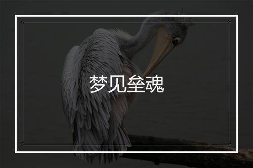 梦见垒魂