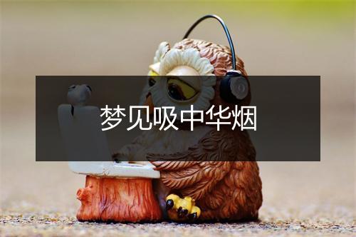 梦见吸中华烟