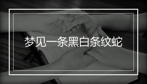 梦见一条黑白条纹蛇