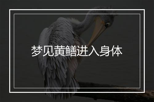 梦见黄鳝进入身体