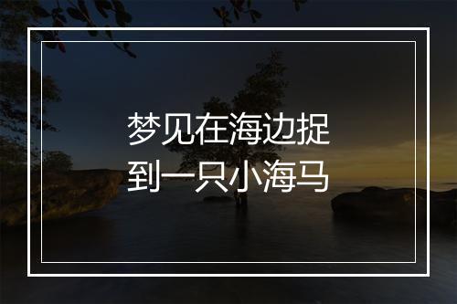 梦见在海边捉到一只小海马