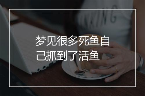 梦见很多死鱼自己抓到了活鱼