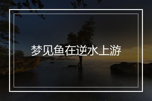 梦见鱼在逆水上游