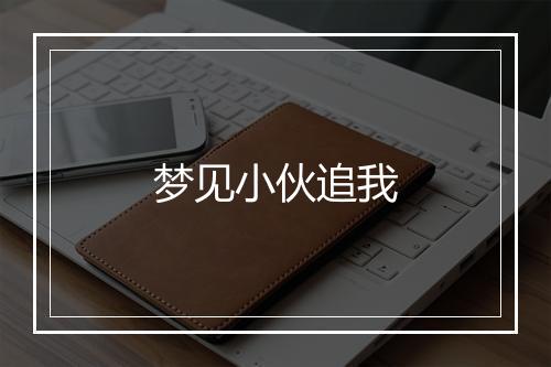 梦见小伙追我