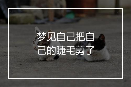 梦见自己把自己的睫毛剪了