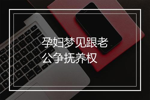 孕妇梦见跟老公争抚养权