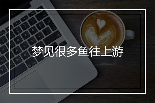 梦见很多鱼往上游