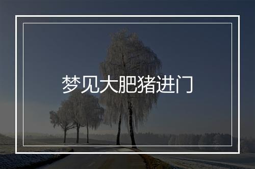 梦见大肥猪进门