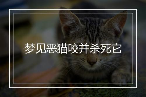 梦见恶猫咬并杀死它