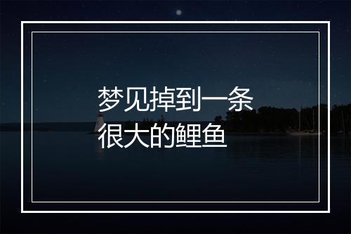 梦见掉到一条很大的鲤鱼