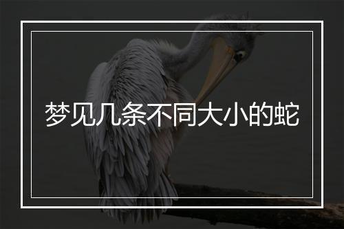 梦见几条不同大小的蛇