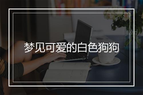 梦见可爱的白色狗狗