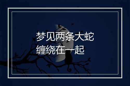 梦见两条大蛇缠绕在一起