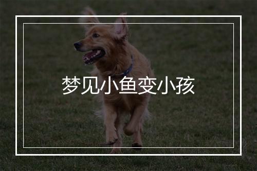 梦见小鱼变小孩