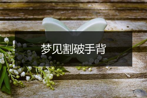 梦见割破手背