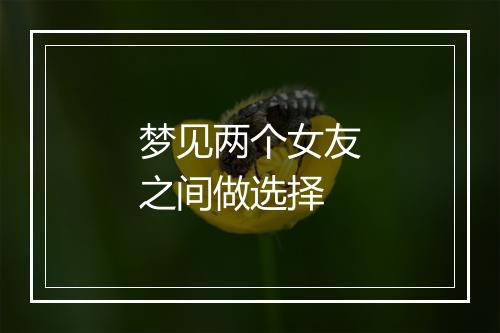 梦见两个女友之间做选择