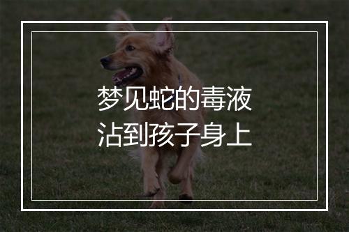 梦见蛇的毒液沾到孩子身上