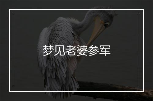 梦见老婆参军