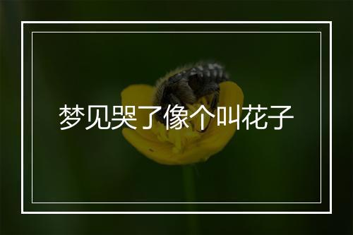 梦见哭了像个叫花子