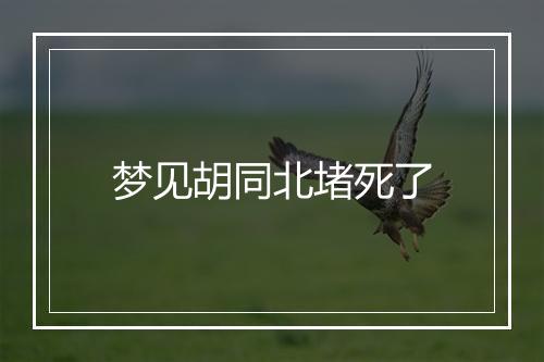 梦见胡同北堵死了