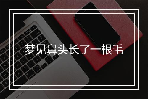 梦见鼻头长了一根毛