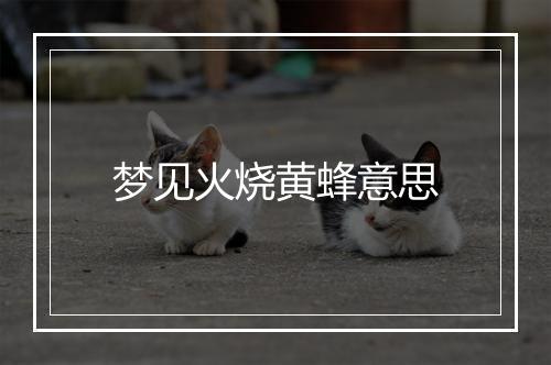 梦见火烧黄蜂意思