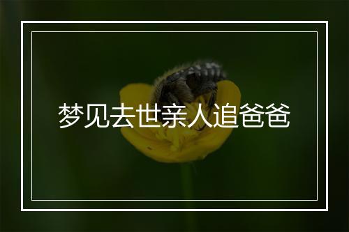 梦见去世亲人追爸爸