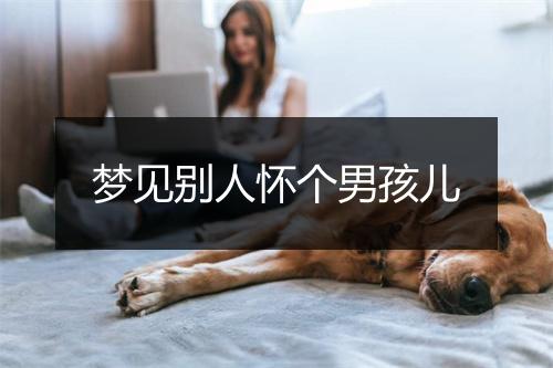 梦见别人怀个男孩儿