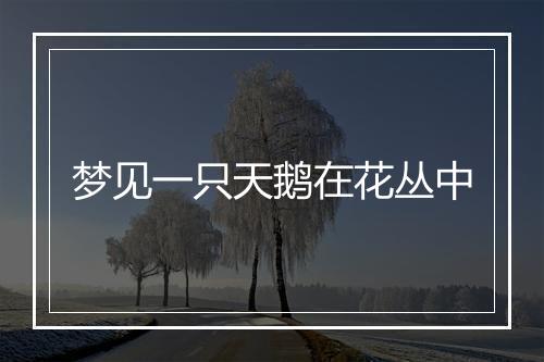 梦见一只天鹅在花丛中